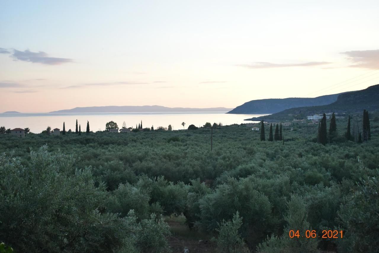 Ouranias Studios Kardamyli Dış mekan fotoğraf